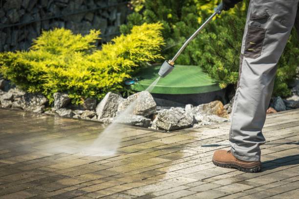 Best Pre-Holiday Cleaning  in Laurel, MD